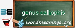 WordMeaning blackboard for genus calliophis